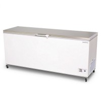 Storage Chest Freezer – 675L – Stainless Steel Top